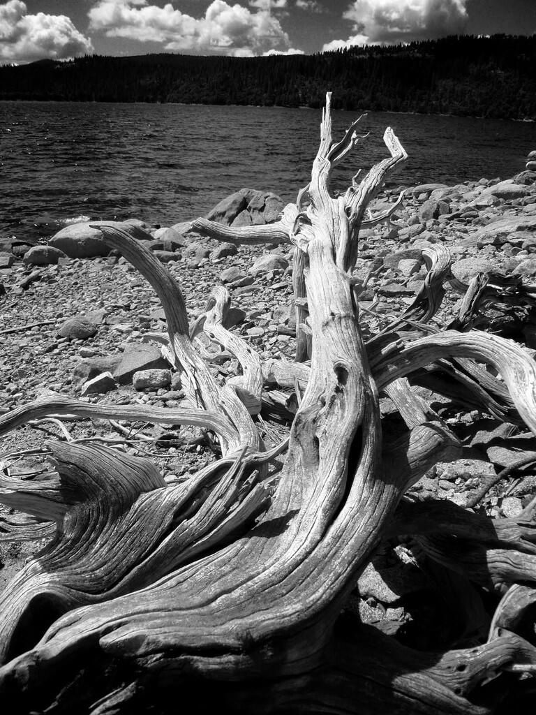 &#91;AMAZING&#93; Foto hitam putih sang Maestro Fotografi Ansel Adams yang menyejukkan Jiwa