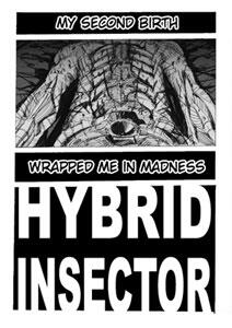 Hybrid Insector &#91;Unofficial Kamen Rider Manga&#93;