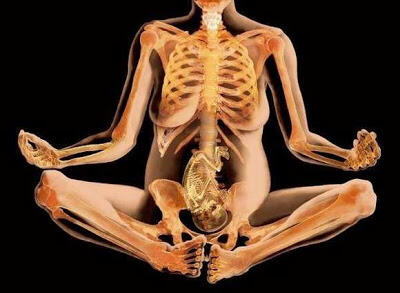 Foto-Foto Tubuh Manusia Versi X-Ray