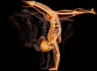 Foto-Foto Tubuh Manusia Versi X-Ray