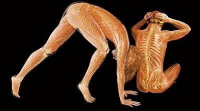 Foto-Foto Tubuh Manusia Versi X-Ray