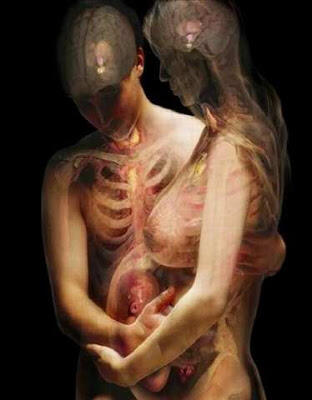 Foto-Foto Tubuh Manusia Versi X-Ray