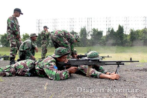 Designated Marksman Rifle di TNI