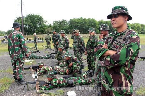 Designated Marksman Rifle di TNI