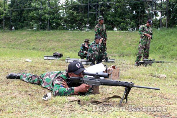 Designated Marksman Rifle di TNI