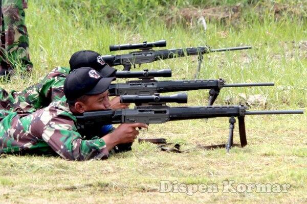 Designated Marksman Rifle di TNI