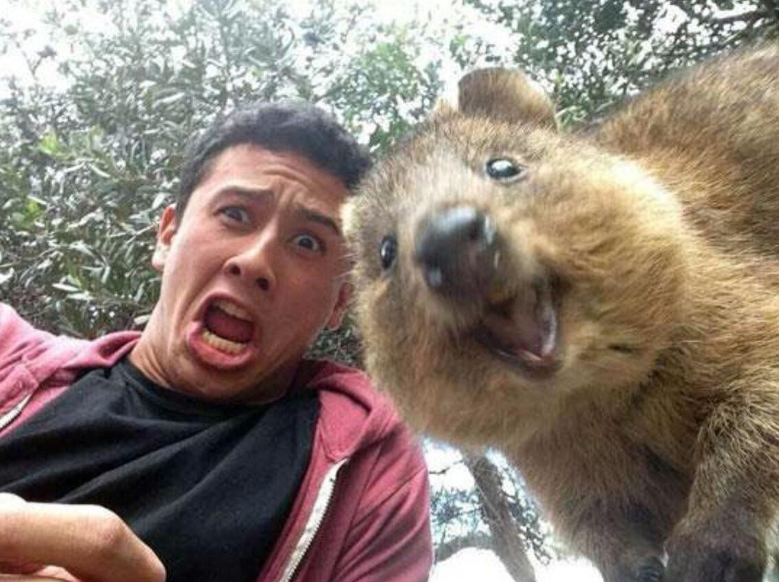 &#91;Masuk&#93; Selfie yang paling extreme didunia