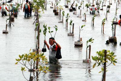 penyebab banjir dan cara menanggulanginya