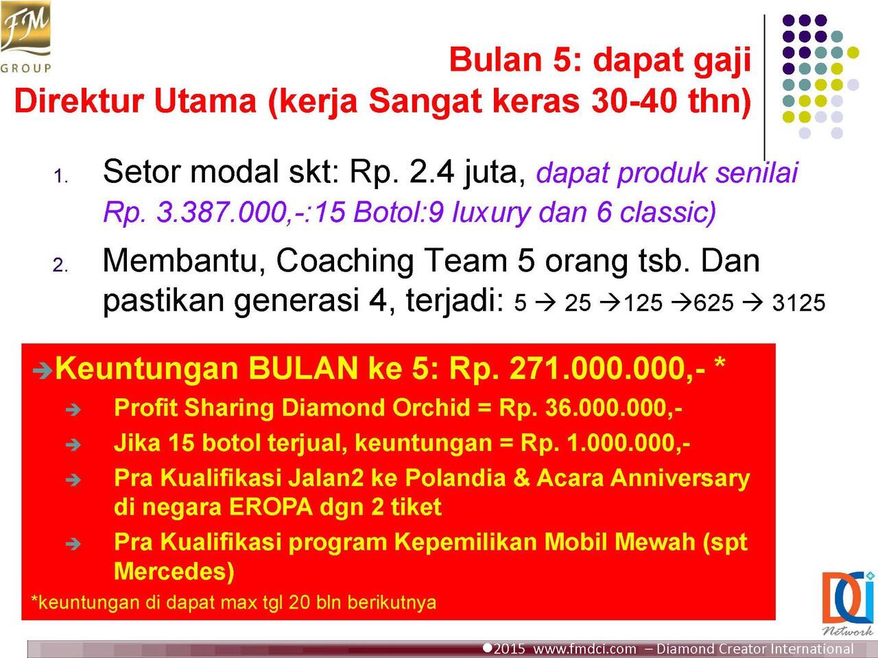 Program Diamond FM Group Indonesia Income Rp 270 Bulan