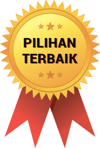 THE BEST OPTION TRADING