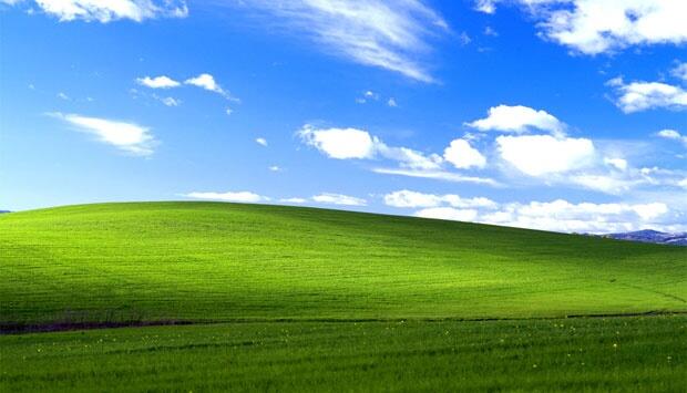 Ada Cerita Romantis di Balik Wallpaper Windows XP
