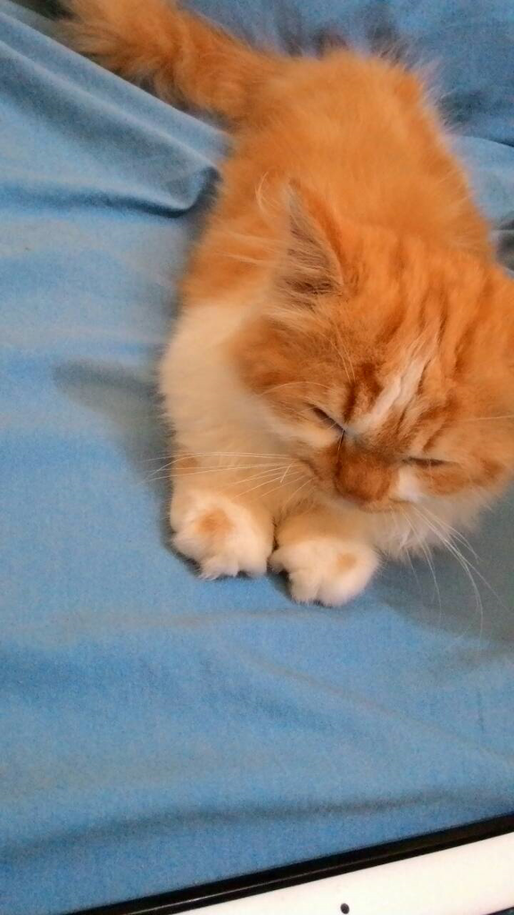 Yang NEMU ada hadiahnya Gan/Sis