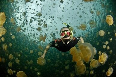 Palau, Negara Tetangga Yang Indah Tapi Jarang Diketahui Oleh Warga Indonesia