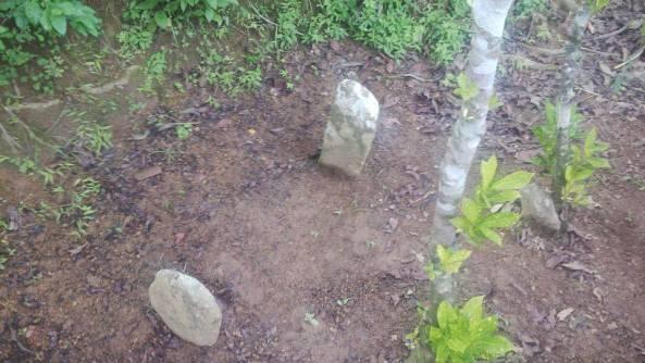 Cinta Pergi Dengan Sebuah Nyawa &#91;renungan yuk&#93;