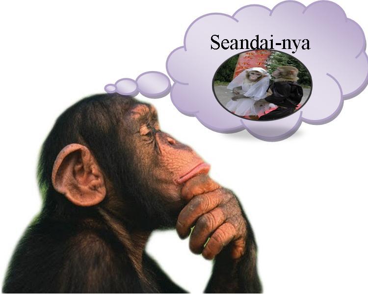 Momen/Kebiasaan Kalo lo lagi sendirian