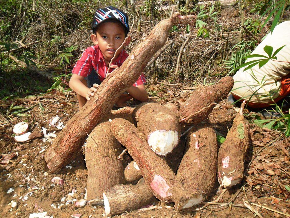 Nestapa hidup di desa, jalanan rusak sampai tak ada listrik