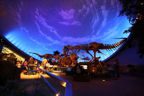 Museum Indianapolis, Museum Anak Terbesar di Dunia