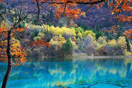 Melihat Keindahan Lembah Jiuzhaigou