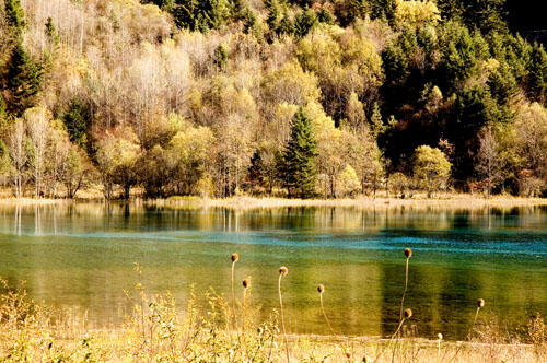 Melihat Keindahan Lembah Jiuzhaigou