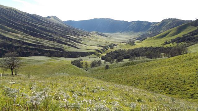 &#91;CARPER&#93; Mengitari kaldera, lautan pasir dan kawah Bromo