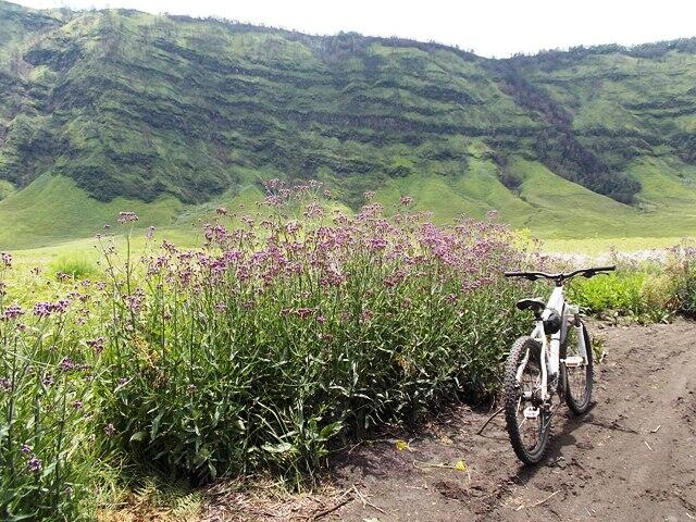 &#91;CARPER&#93; Mengitari kaldera, lautan pasir dan kawah Bromo