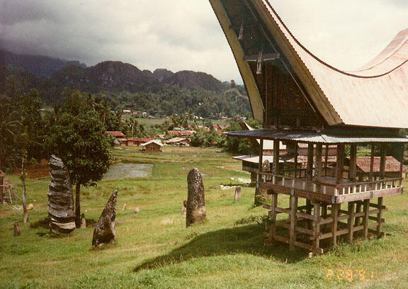 Passomba Tedong : Sumber Utama Falsafah Toraja