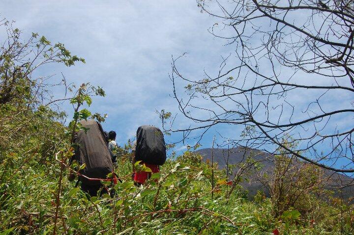 PENGALAMAN TERSESAT DI GUNUNG SLAMET 3428Mdpl