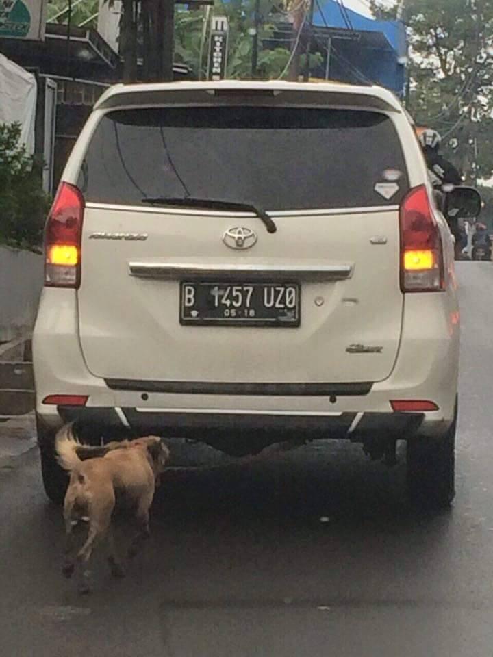 (Pict) Entah apa maksud orang ini gan !!