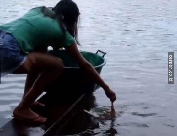 Wanita Brazil Ini Menangkap Ikan Dengan Daging Segar, Dan Ternyata Ikan Itu Adalah...