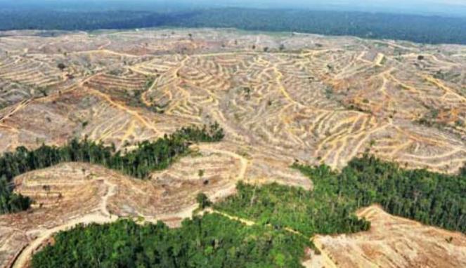 Apa Pekerjaan Pilihan Agan Untuk Peradaban Baru?