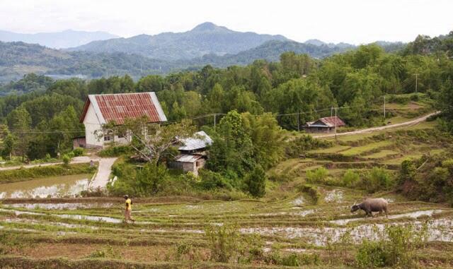 Toraja, Hidup untuk Mewahnya Kematian (Life for a Luxurious Death)