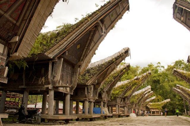 Toraja, Hidup untuk Mewahnya Kematian (Life for a Luxurious Death)