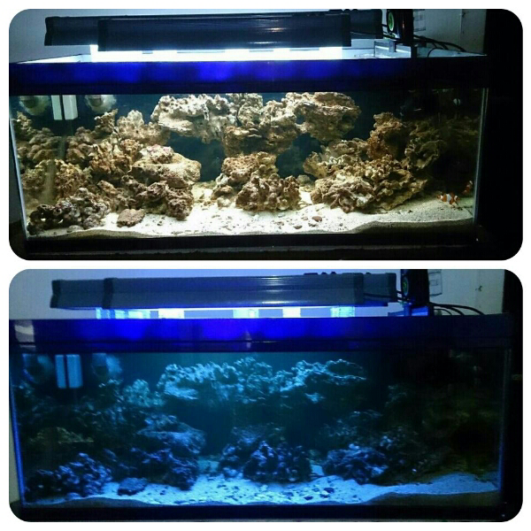 Terjual Jual Akuarium / Aquarium Air Laut Full Set Paketan / Borongan