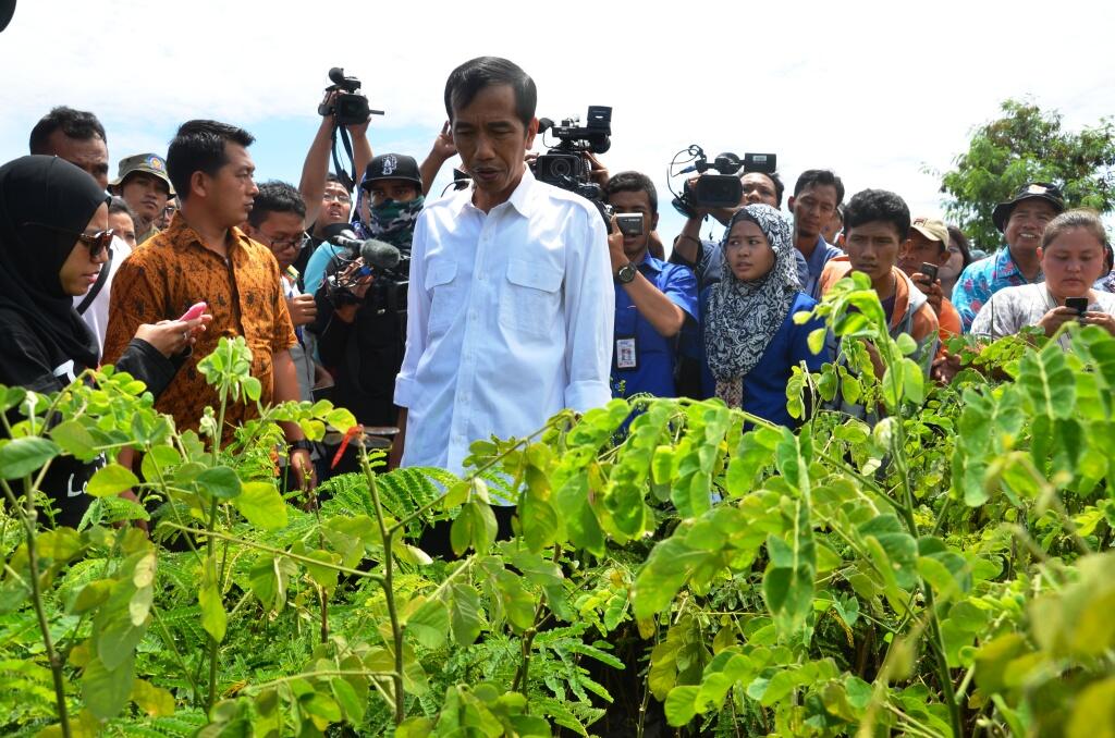 Pejabat Publik kampanyekan Tanam Sengon, untuk Indonesia Hijau dan Makmur
