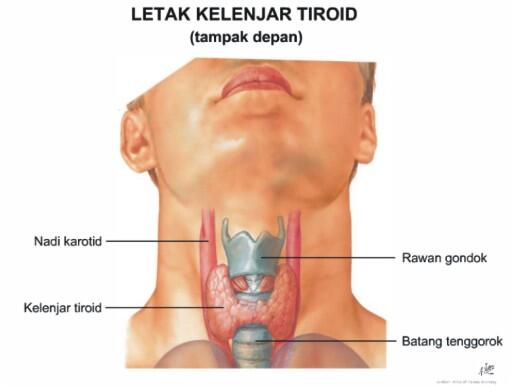 Tips Kebal Dari Berbagai Penyakit !