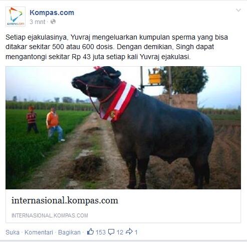 Beberapa SS Berita Yang Dikemas Secara Ringan dan Menarik