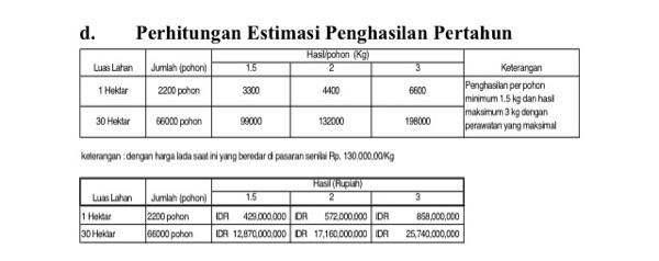 Investasi perkebunan lada