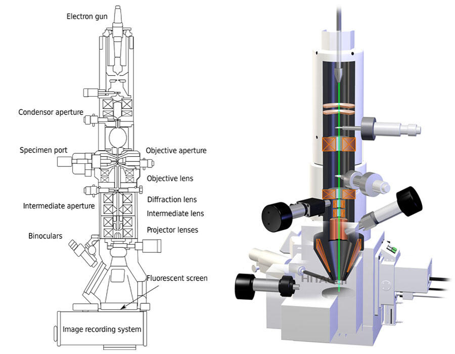Mikroskop Elektron &#91;Welcome to The Nano-Dimension&#93;