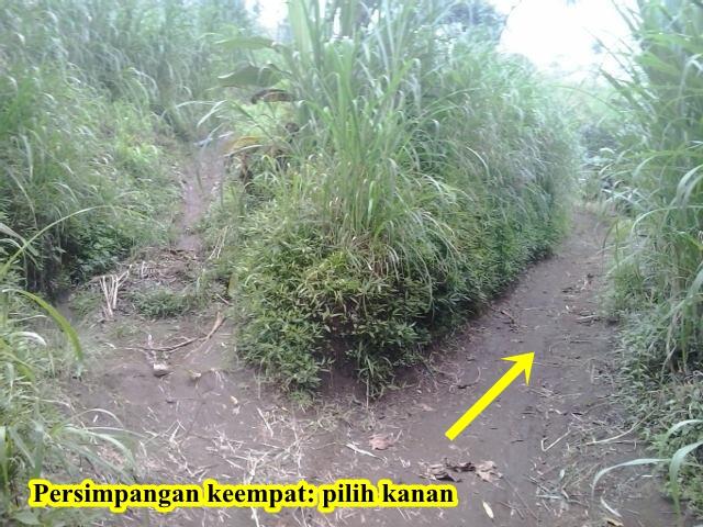 &#91;CATPER&#93; PESONA GUNUNG BUTAK