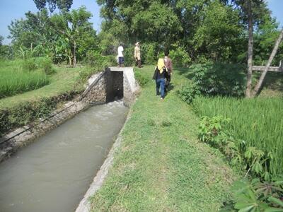 Dam Plethes (Legenda Golan-Mirah)