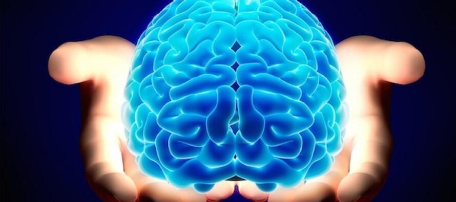Agan Termasuk Pengguna Otak Kiri atau Otak Kanan-kah?