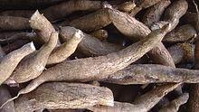 &#91;Beras Mahal&#93; Pilih Makanan Pokok Alternatifnya 