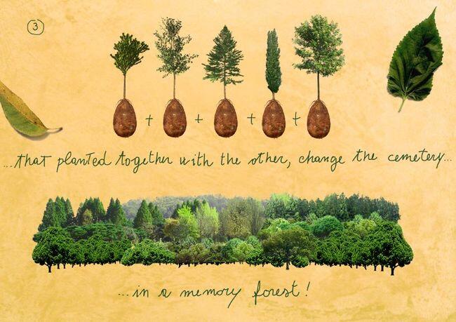 Capsula Mundi: Merubah Tubuh Manusia Menjadi Pohon