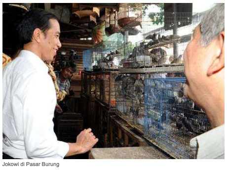 &#91;Info Penting&#93; Jokowi Tak Ikutan Demam Batu Akik