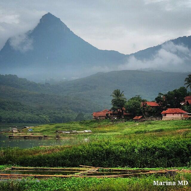 GUNUNG BONGKOK 975 MDPL