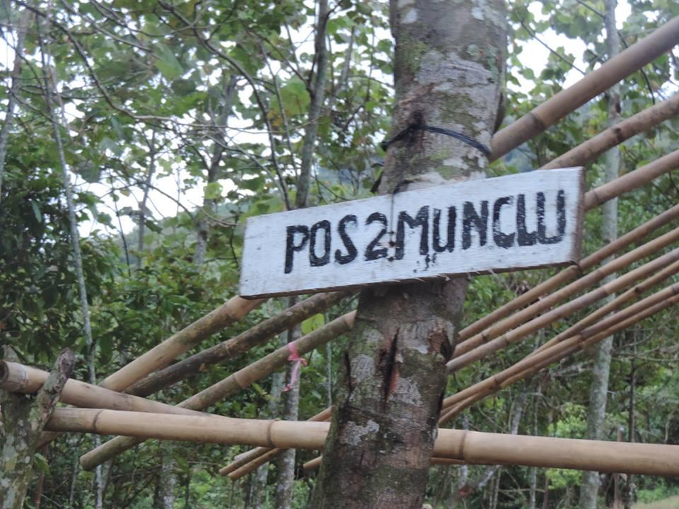 GUNUNG BONGKOK 975 MDPL
