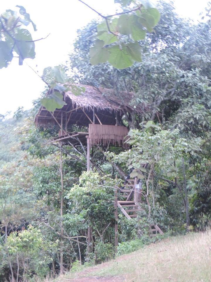 GUNUNG BONGKOK 975 MDPL