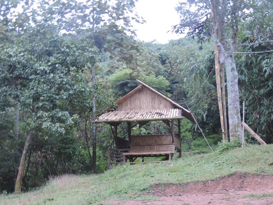 GUNUNG BONGKOK 975 MDPL