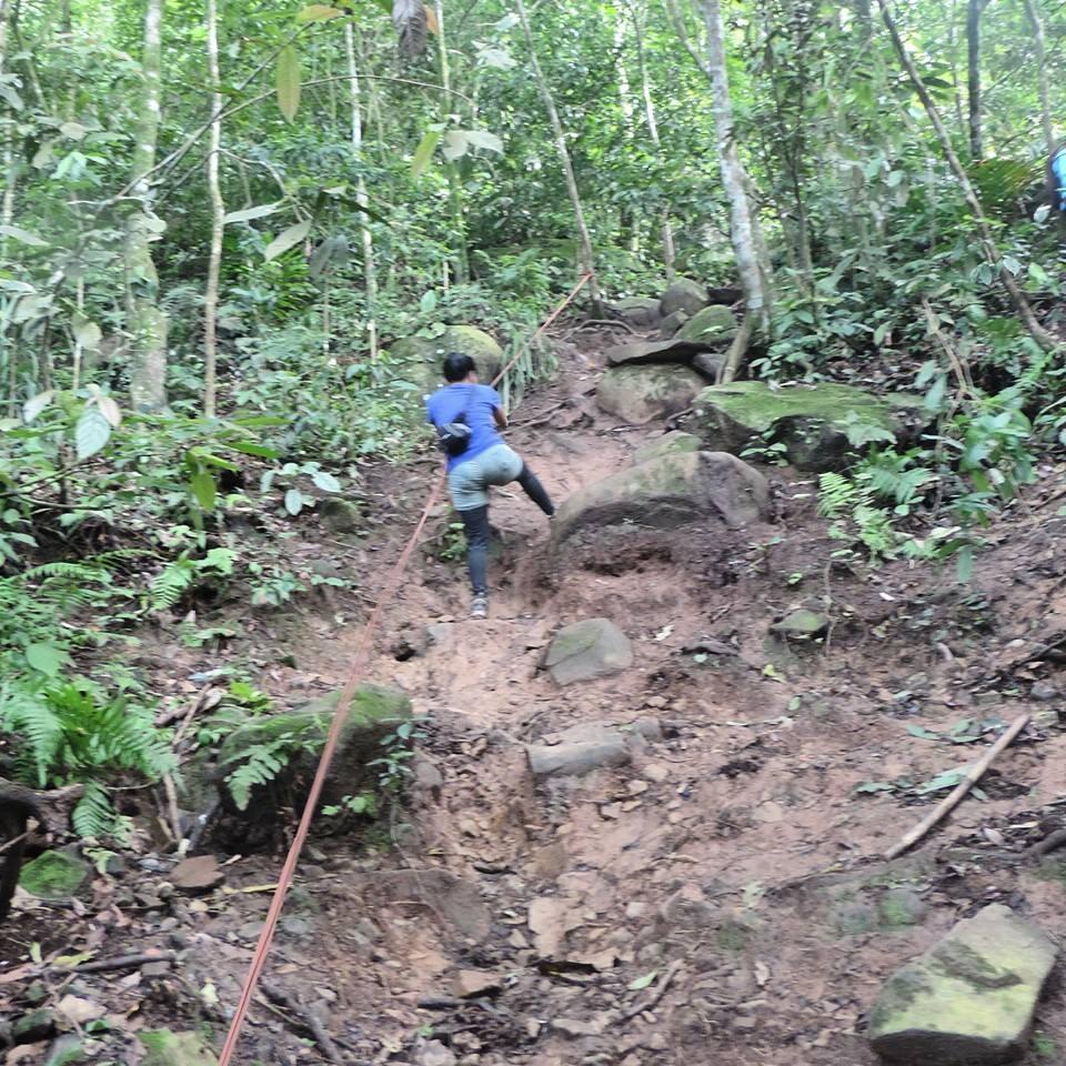 GUNUNG BONGKOK 975 MDPL