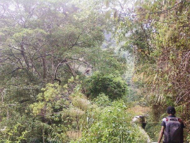 Gunung Ungaran via Desa Kalisidi : Melintasi Keindahan Air Terjun Lawe dan Benowo